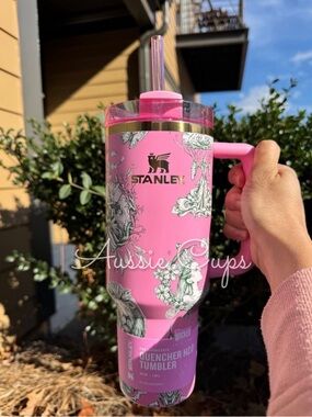 Stanley x Wicked Ozian Reprise Pink Quencher H2.0 Tumbler with Handle, bnwt